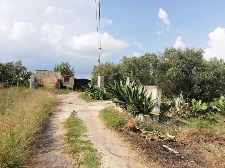 La Casa In Campagna Di Ottavia Alezio Exterior foto